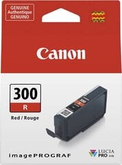 Canon 4199C001, красный цена и информация | Картриджи для струйных принтеров | pigu.lt