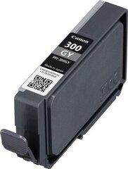 Canon 4200C001, pilka kaina ir informacija | Kasetės rašaliniams spausdintuvams | pigu.lt