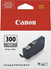 Canon 4200C001, pilka kaina ir informacija | Kasetės rašaliniams spausdintuvams | pigu.lt