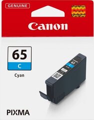 Canon 4216C001 kaina ir informacija | Kasetės rašaliniams spausdintuvams | pigu.lt