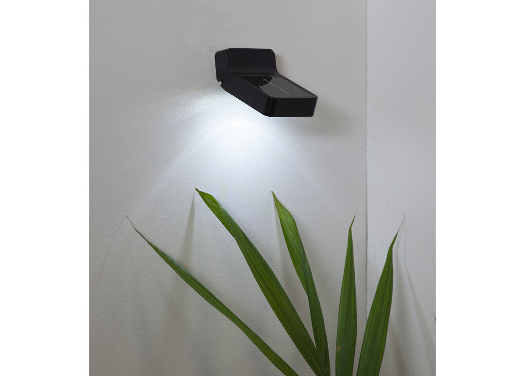 Sieninis lauko šviestuvas su saulės baterija Wally цена и информация | Lauko šviestuvai | pigu.lt
