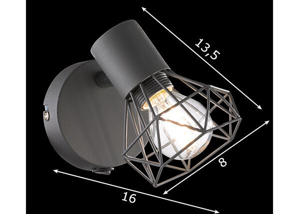 Fischer & Honsel sieninis šviestuvas Ran 32470 kaina ir informacija | Sieniniai šviestuvai | pigu.lt