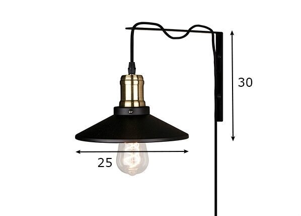 Globen Lighting sieninis šviestuvas Disc kaina ir informacija | Sieniniai šviestuvai | pigu.lt