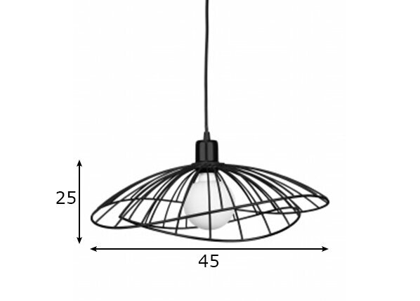 Globen Lighting pakabinamas šviestuvas Ray цена и информация | Pakabinami šviestuvai | pigu.lt