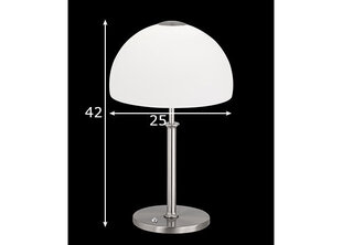 Fischer&Honsel LED настольный светильник Avignon цена и информация | Настольные светильники | pigu.lt