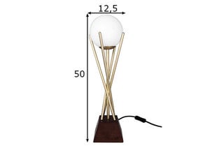 Настольная лампа Sarasota, матовая латунь цена и информация | Настольные светильники | pigu.lt