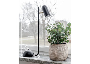 Настольная лампа Globen Lighting Лебедь цена и информация | Настольные светильники | pigu.lt
