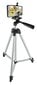 Fotoaparato teleskopinis trikojis stovas цена и информация | Fotoaparato stovai | pigu.lt