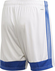 Šortai vyrams Adidas Tastigo 19 Shorts M FI6355, balti kaina ir informacija | Vyriški šortai | pigu.lt