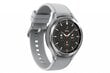 Samsung Galaxy Watch 4 Classic (LTE,46mm), Silver SM-R895FZSAEUD kaina ir informacija | Išmanieji laikrodžiai (smartwatch) | pigu.lt