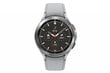 Samsung Galaxy Watch 4 Classic (LTE,46mm), Silver SM-R895FZSAEUD цена и информация | Išmanieji laikrodžiai (smartwatch) | pigu.lt