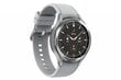 Samsung Galaxy Watch 4 Classic (BT,46mm) Silver SM-R890NZSAEUD kaina ir informacija | Išmanieji laikrodžiai (smartwatch) | pigu.lt