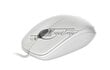 Logitech B100 910-003360, balta цена и информация | Pelės | pigu.lt