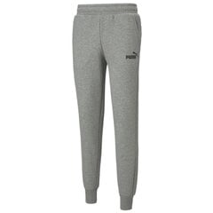 Спортивные штаны мужские Puma Essentials Logo Pants M 586714 03, серые цена и информация | Puma Мужская одежда | pigu.lt