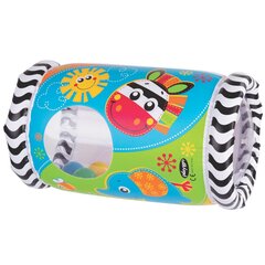 Muzikinis žaislas Peek in Roller, 0184970 kaina ir informacija | Playgro Vaikams ir kūdikiams | pigu.lt