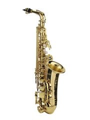 Saksofonas Stewart Ellis SE-910-L kaina ir informacija | Pučiamieji instrumentai | pigu.lt