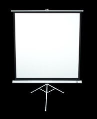 Elito ekranų trikojo serija T113NWS1 įstrižainė 113 ", 1: 1, matomo ekrano plotis (W) 203 cm, balta цена и информация | Экраны проекторов | pigu.lt