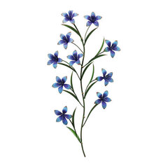 Drabužių kabykla Flowers, mėlyna kaina ir informacija | Drabužių kabyklos | pigu.lt