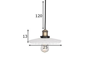 Globen Lighting lubinis šviestuvas Cobbler kaina ir informacija | Pakabinami šviestuvai | pigu.lt