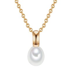 Цепочка Valero Pearls, 42,0 см, 890930543 цена и информация | Женское колье | pigu.lt
