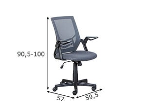 Рабочее кресло Jilli, серое цена и информация | Офисные кресла | pigu.lt