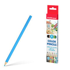 Šešiakampiai spalvoti pieštukai ErichKrause®, 6 spalvos kaina ir informacija | Piešimo, tapybos, lipdymo reikmenys | pigu.lt