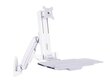 Workstation Arm Single, 7350073734351 цена и информация | Monitorių laikikliai | pigu.lt