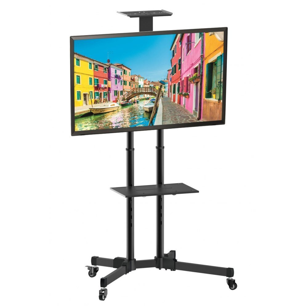 Techly ICA-TR16T 37-70” цена и информация | Televizorių laikikliai, tvirtinimai | pigu.lt