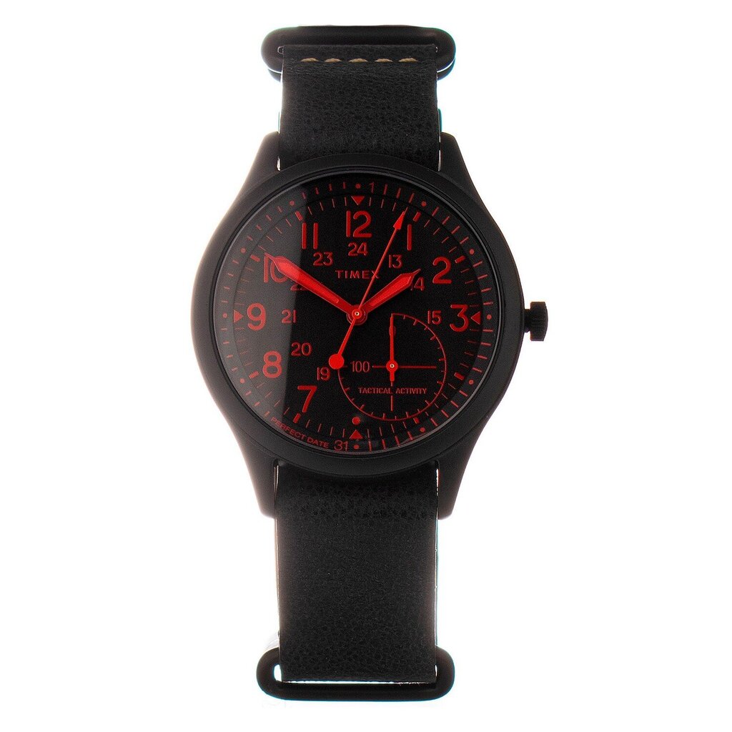 Laikrodis vyrams Timex TW2V10800LG kaina ir informacija | Vyriški laikrodžiai | pigu.lt