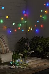 Lengva grandinė „Uogos“. 50 spalvotų LED žibintų, ilgis 7,35m, IP44 kaina ir informacija | Kalėdinės dekoracijos | pigu.lt