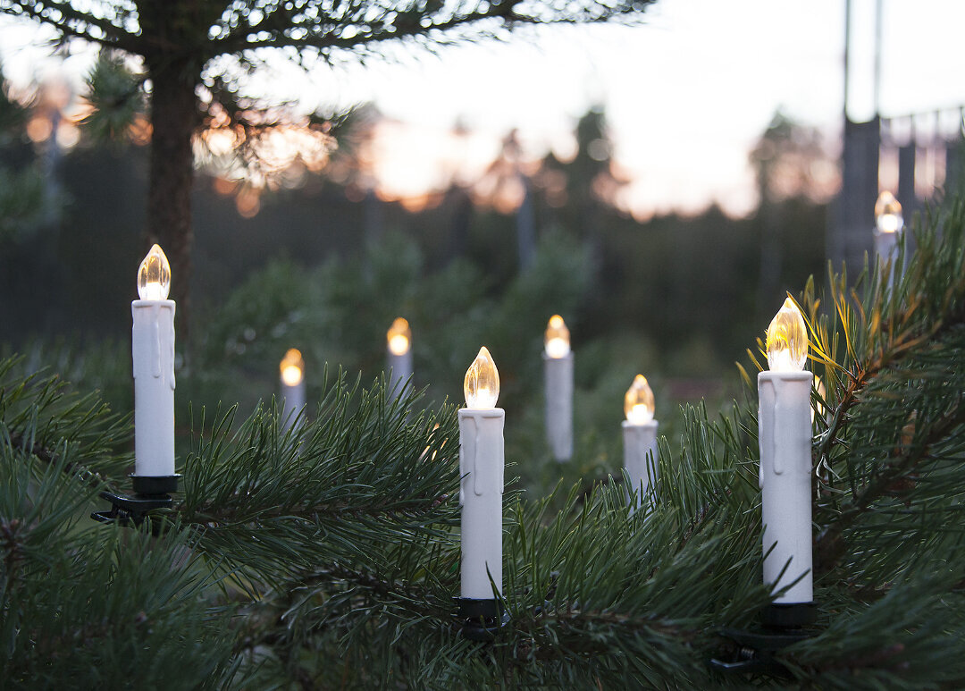 Belaidės LED eglės žvakės, 10 vnt. kaina ir informacija | Kalėdinės dekoracijos | pigu.lt