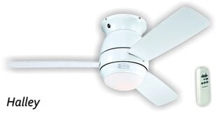 HALLEY Ø122 см, белый, потолочный вентилятор с дистанционным управлением цена и информация | Светильники-вентиляторы | pigu.lt