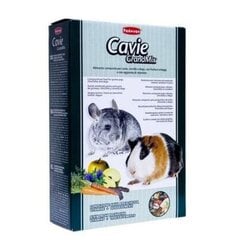 Корм для морских свинок, шиншилл, дегу, PDGrandmix Cavie, 850 г цена и информация | Корм для грызунов | pigu.lt