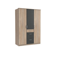 Трехдверный шкаф Clic, коричневый цена и информация | Шкафы | pigu.lt