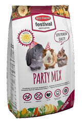 Корм для кроликов / грызунов Festival Excl.party mix цена и информация | Корм для грызунов | pigu.lt