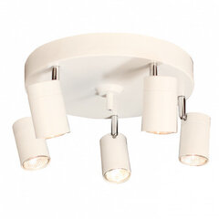 Потолочный светильник Sessak Correct, белый цена и информация | Потолочные светильники | pigu.lt