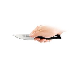 Tescoma GrandCHEF peilis, 9 cm kaina ir informacija | Peiliai ir jų priedai | pigu.lt