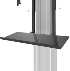 Neomounts by NewStar PLASMA-M2250KEYB kaina ir informacija | Televizorių laikikliai, tvirtinimai | pigu.lt