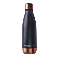 Terminis butelis Asobu Central Park Travel, 510 ml, vario/sidabro spalvos kaina ir informacija | Termosai, termopuodeliai | pigu.lt