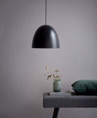 Nordlux lubinis šviestuvas Alexander kaina ir informacija | Lubiniai šviestuvai | pigu.lt