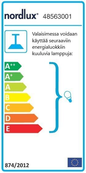 Nordlux lubinis šviestuvas Ellen kaina ir informacija | Lubiniai šviestuvai | pigu.lt