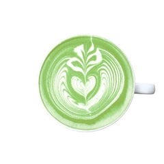 Gėrimų mišinys Fonte, Green Matcha Latte, 300 g kaina ir informacija | Kava, kakava | pigu.lt