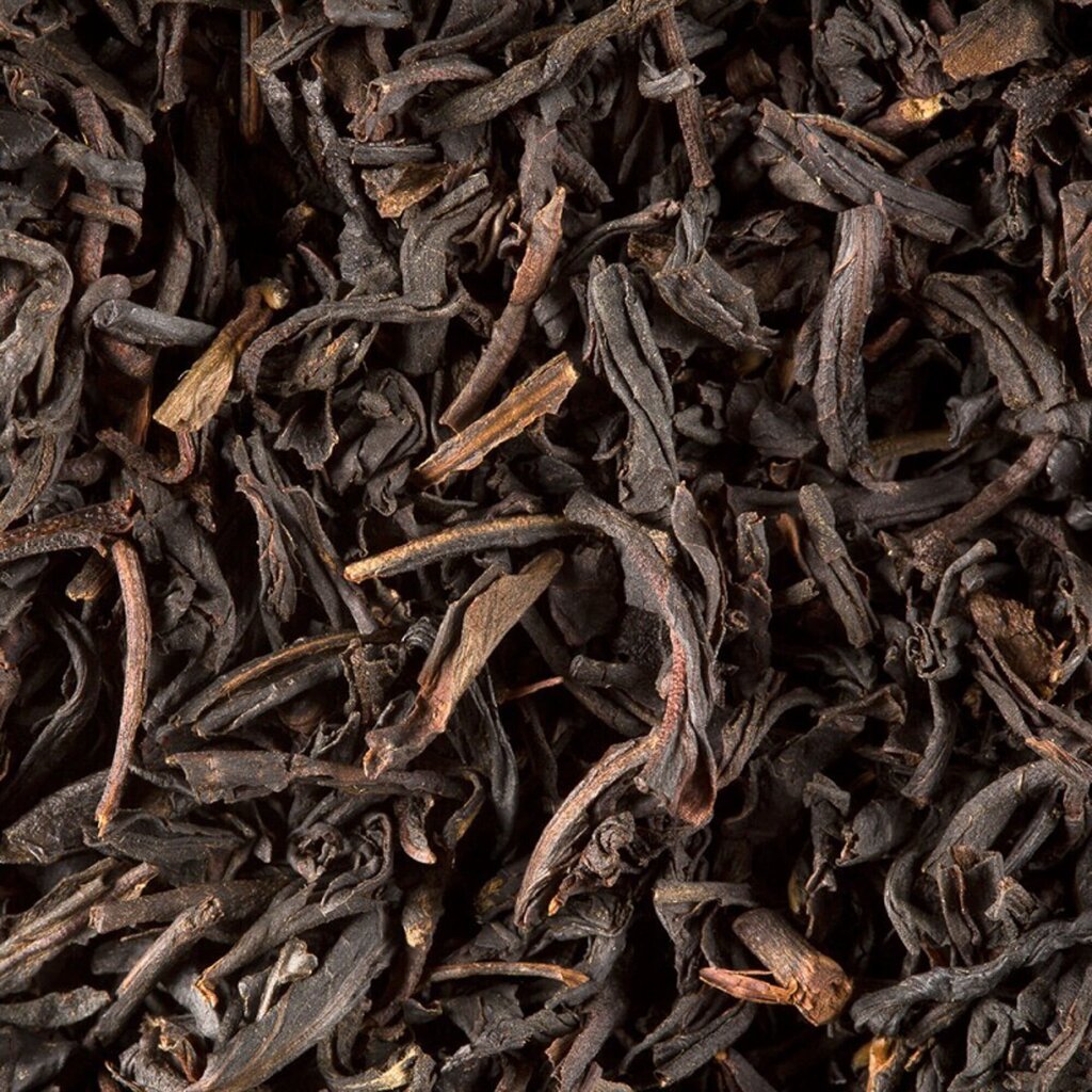 HoReCa, Darjeeling, juodoji arbata, 24 vnt kaina ir informacija | Arbata | pigu.lt