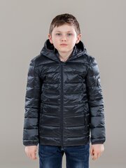 Куртка для мальчиков Huppa осень-зима STEVO 2, серая 907157457 цена и информация | Куртки для мальчиков | pigu.lt