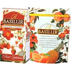 Vaisių arbata Basilur Strawberry & Raspberry, 100 g kaina ir informacija | Arbata | pigu.lt