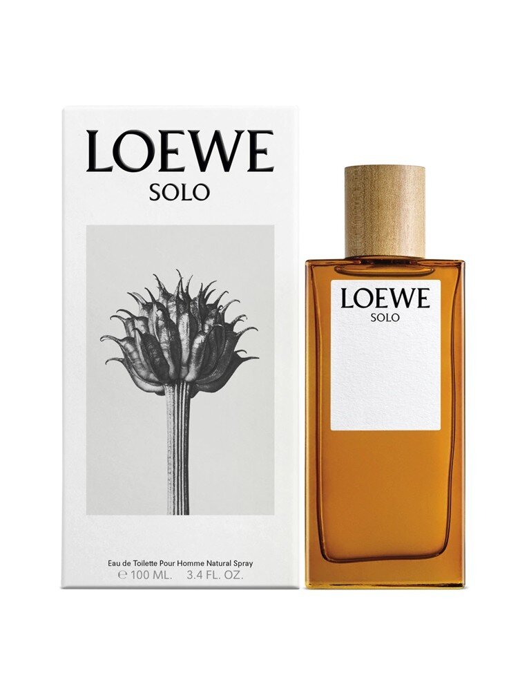 Tualetinis vanduo vyrams Loewe Solo EDT, 100 ml kaina ir informacija | Kvepalai vyrams | pigu.lt