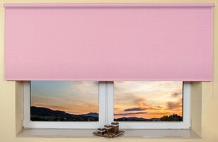 Sieninis / lubų roletas 100x170 cm, 103 Rožinė kaina ir informacija | Roletai | pigu.lt