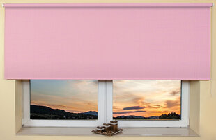 Sieninis / lubų roletas 160x170 cm, 103 Rožinė kaina ir informacija | Roletai | pigu.lt