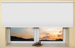 Настенный/потолочный ролет 150x170 см, 800 Белый цена и информация | Рулонные шторы | pigu.lt