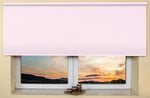 Настенный/потолочный ролет 100x170 см, 101 Розовый